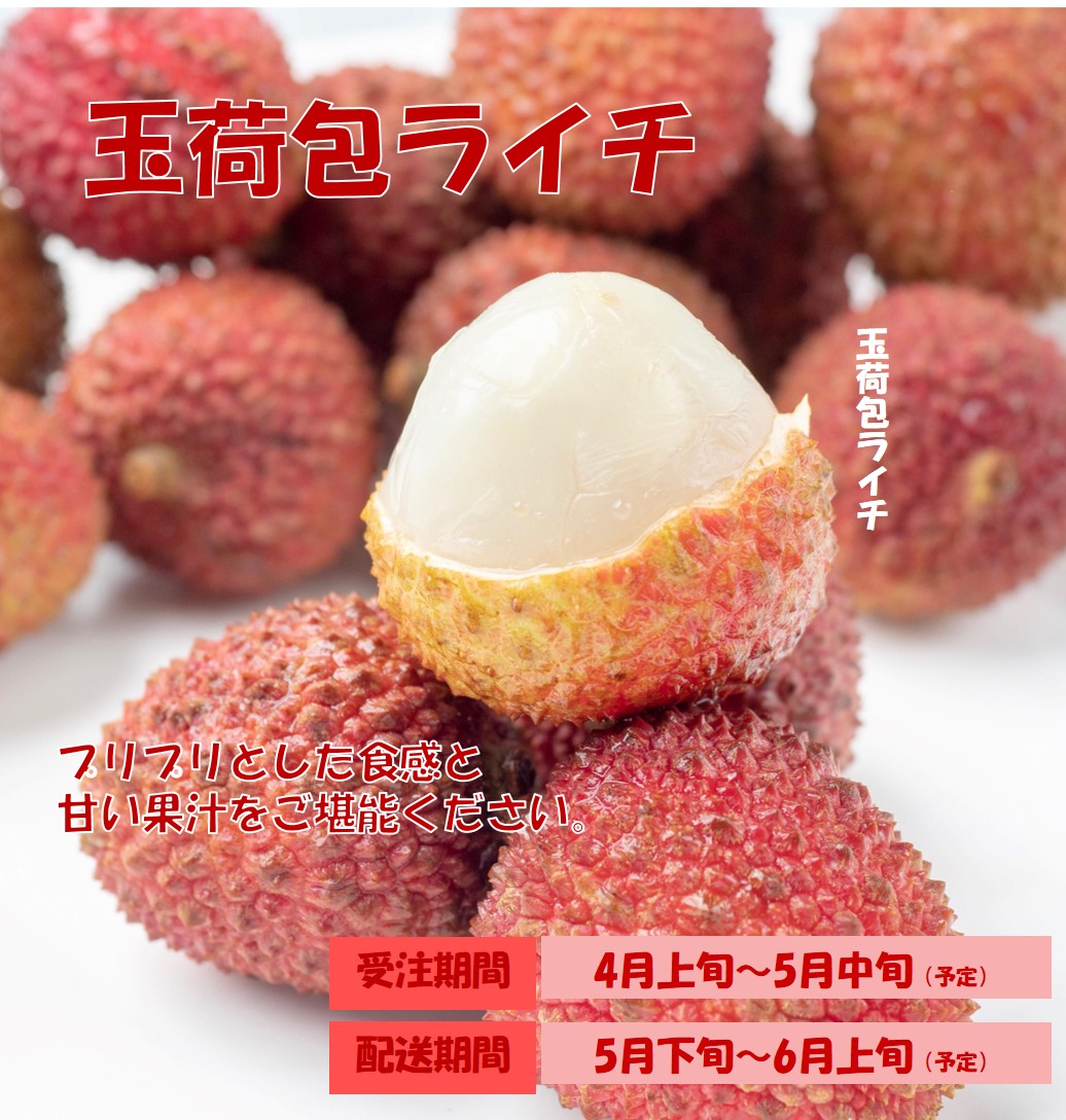 【日本配送】季節限定！玉荷包ライチ3KG