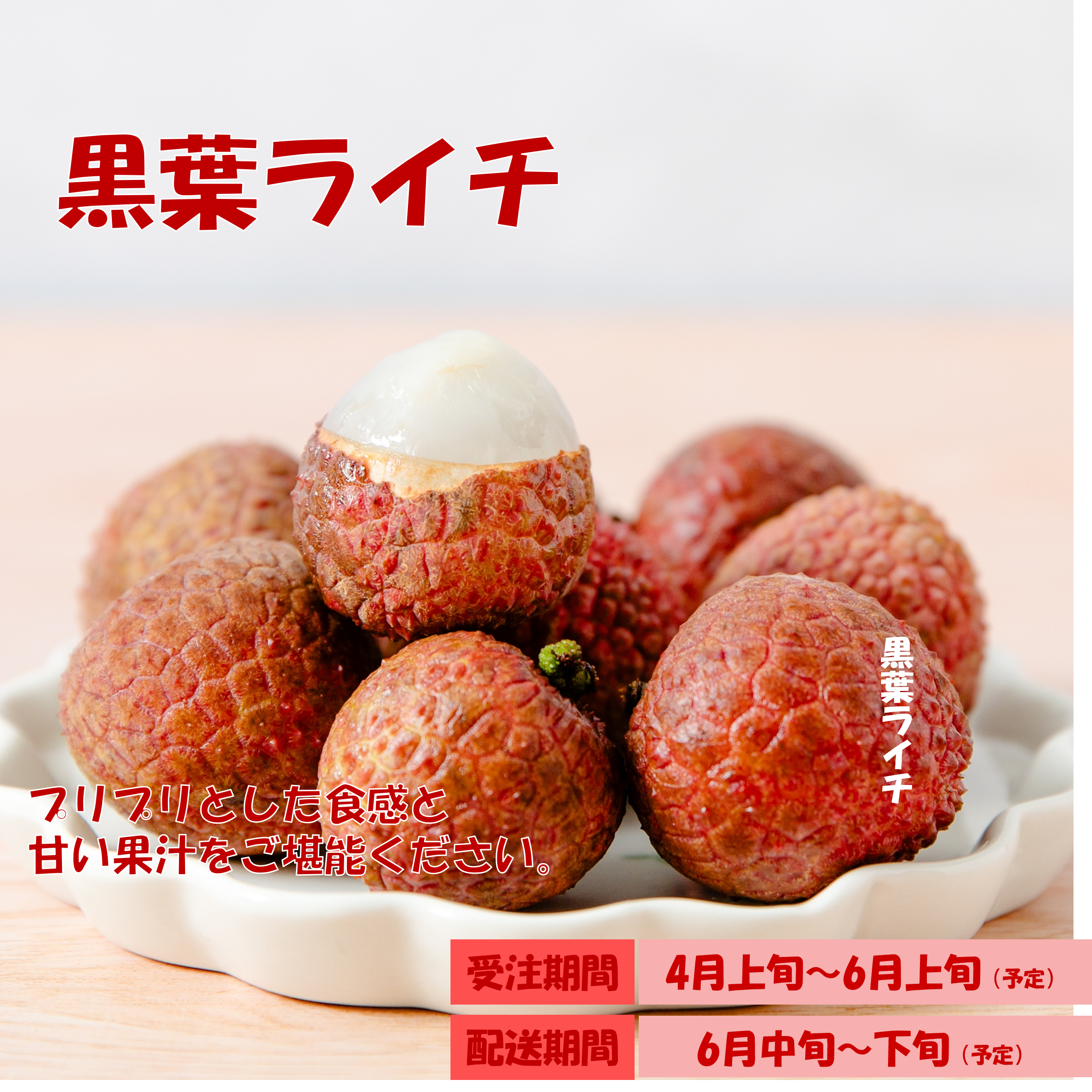 桂味ライチ4kg クール便 生ライチ」の人気商品一覧・価格比較 - 価格.com