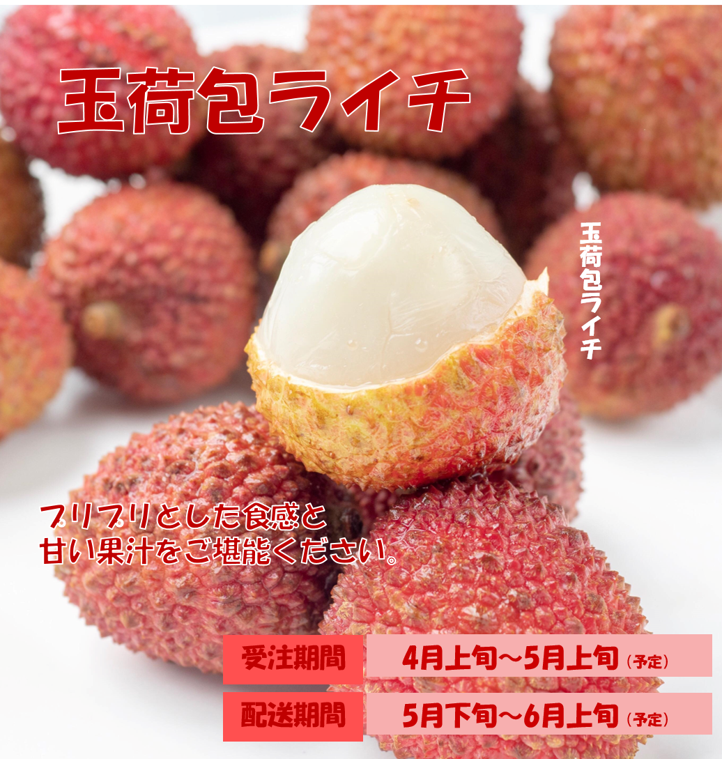 【特別優待】季節限定!玉荷包ライチ3KG