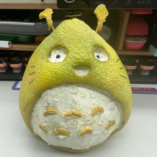 台湾秋の味覚文旦