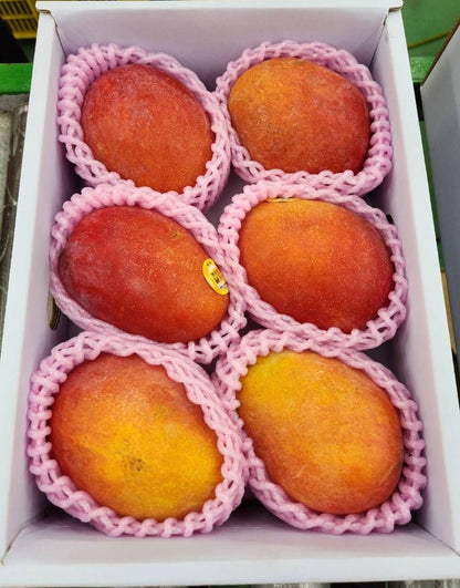 【特別優待】季節限定！台湾愛文マンゴー2.5KG