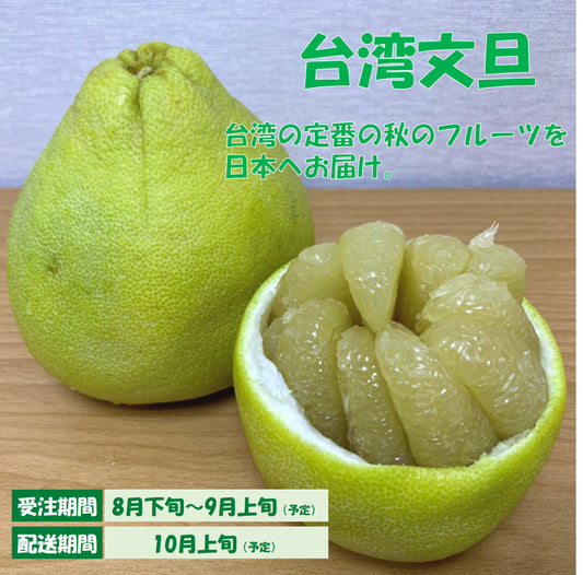 【日本配送】台湾文旦（3kg/箱 5~8顆入)　