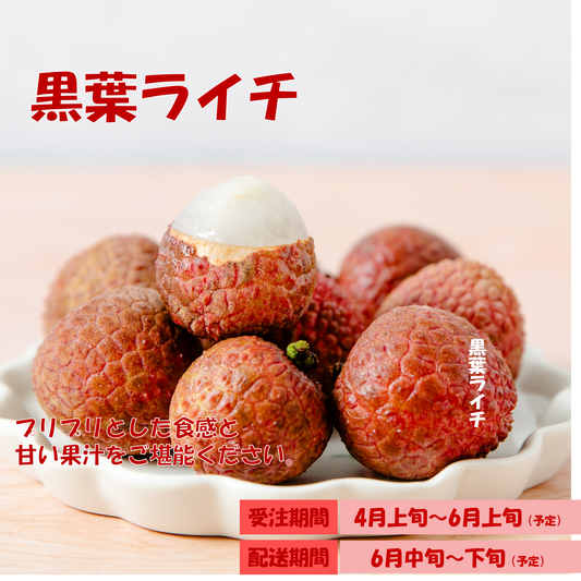 【日本配送】季節限定！黒葉ライチ3KG