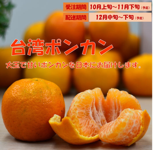 【日本配送】季節限定！台灣椪柑（ポンカン）5KG（20～24粒入）