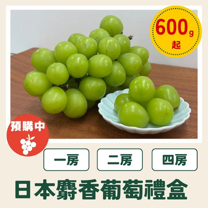 【台灣配送】日本山梨縣産麝香葡萄
