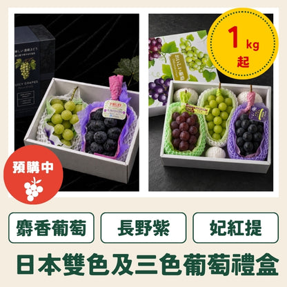 【台灣配送】日本產葡萄禮盒